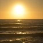 CambriaCN_163 (October 25, 2014)